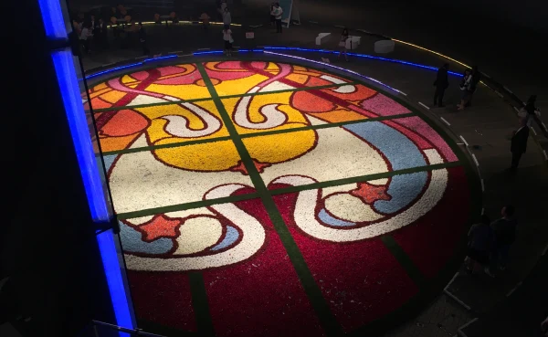 Flower Carpet