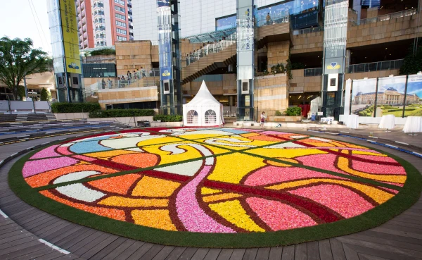 Flower Carpet