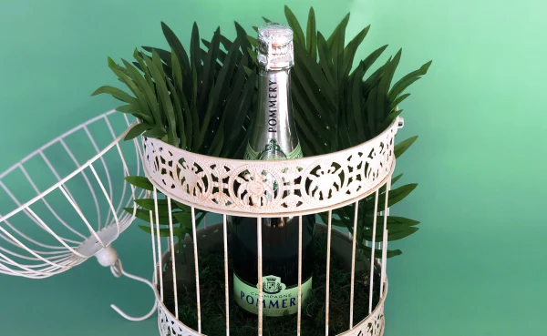 Soirée Blanche