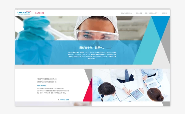 Careers Website
